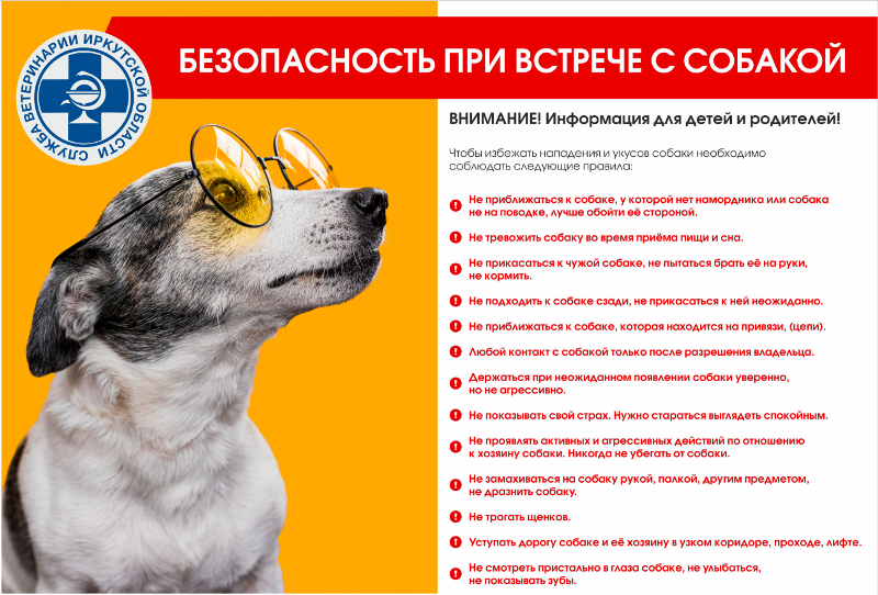 Макет 1