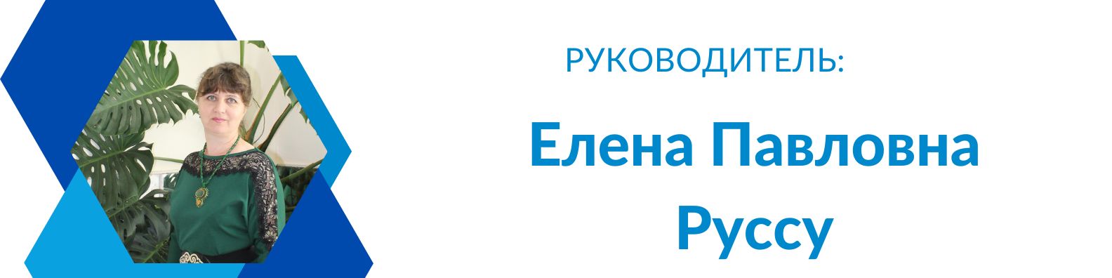 Neutral_Modern_Web_Developer_LinkedIn_Banner_2.jpg