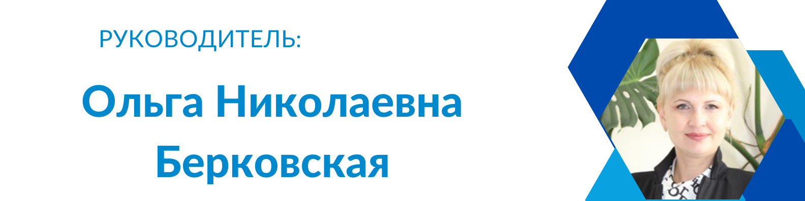 Neutral Modern Web Developer LinkedIn Banner 7