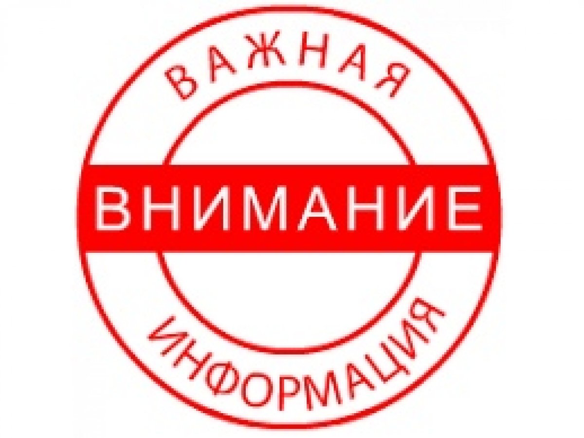 mVZKX569amg